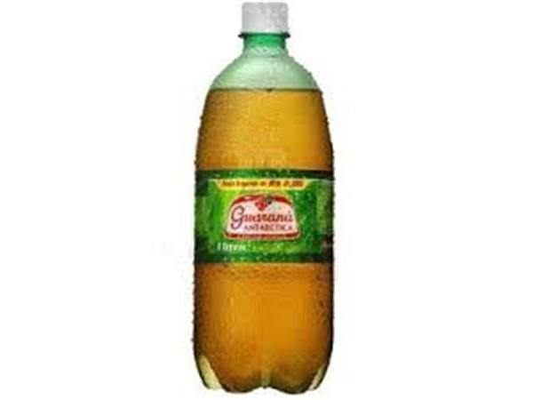GUARANÁ ANTARCTICA 1L