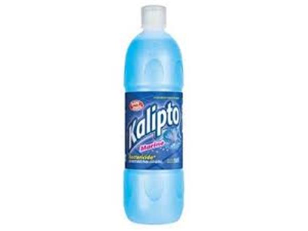 DESINFETANTE KALIPTO MARINE 750ML