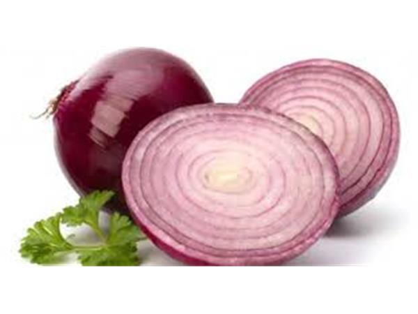 CEBOLA ROXA