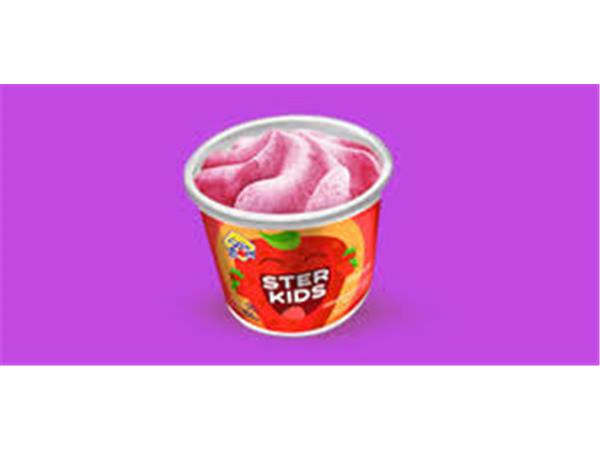 SORVETE STER KIDS MORANGO 100ML