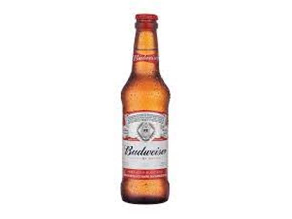 CERVEJA BUDWEISER 330ML